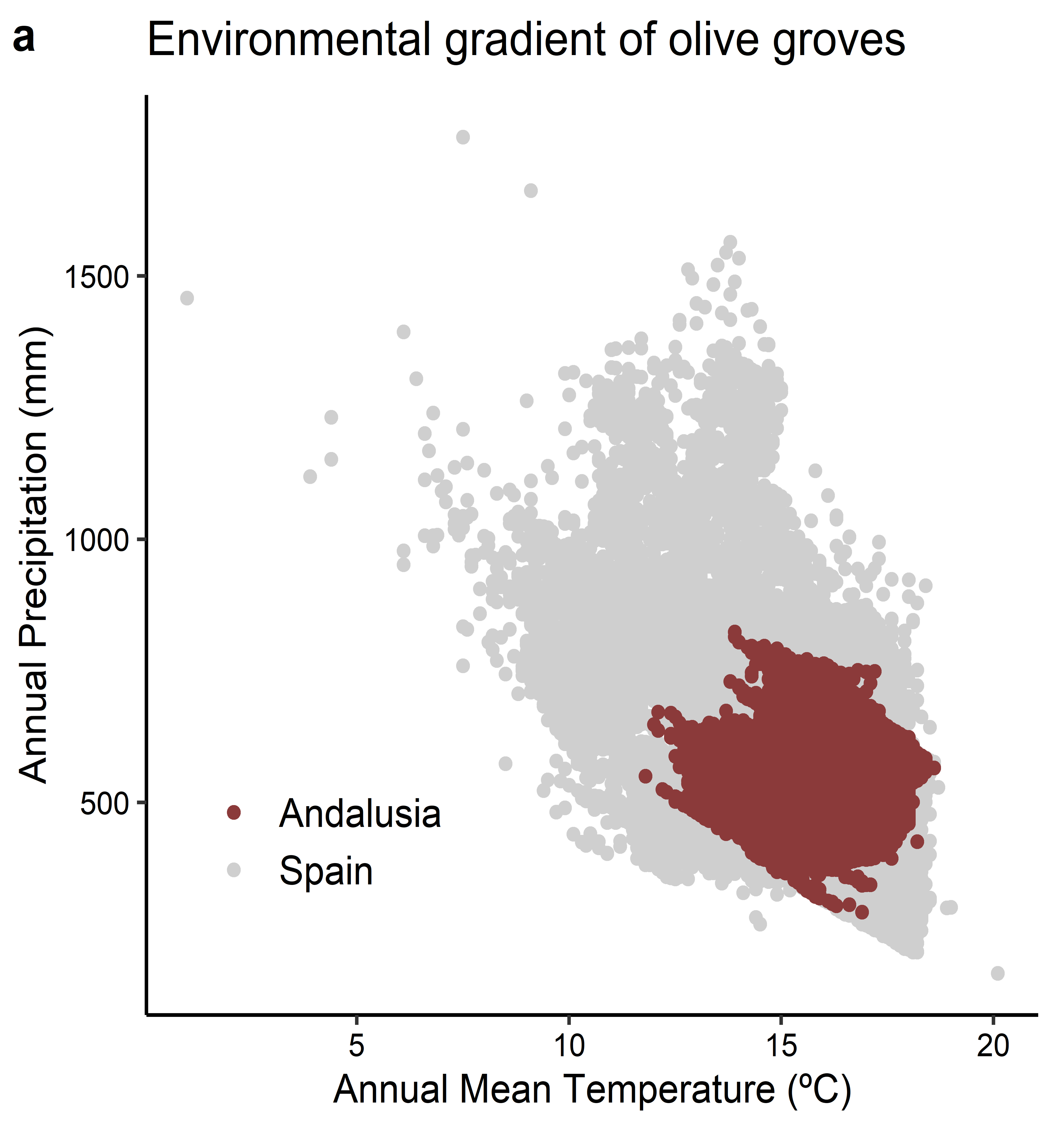 Gradiente ambiental de olivares